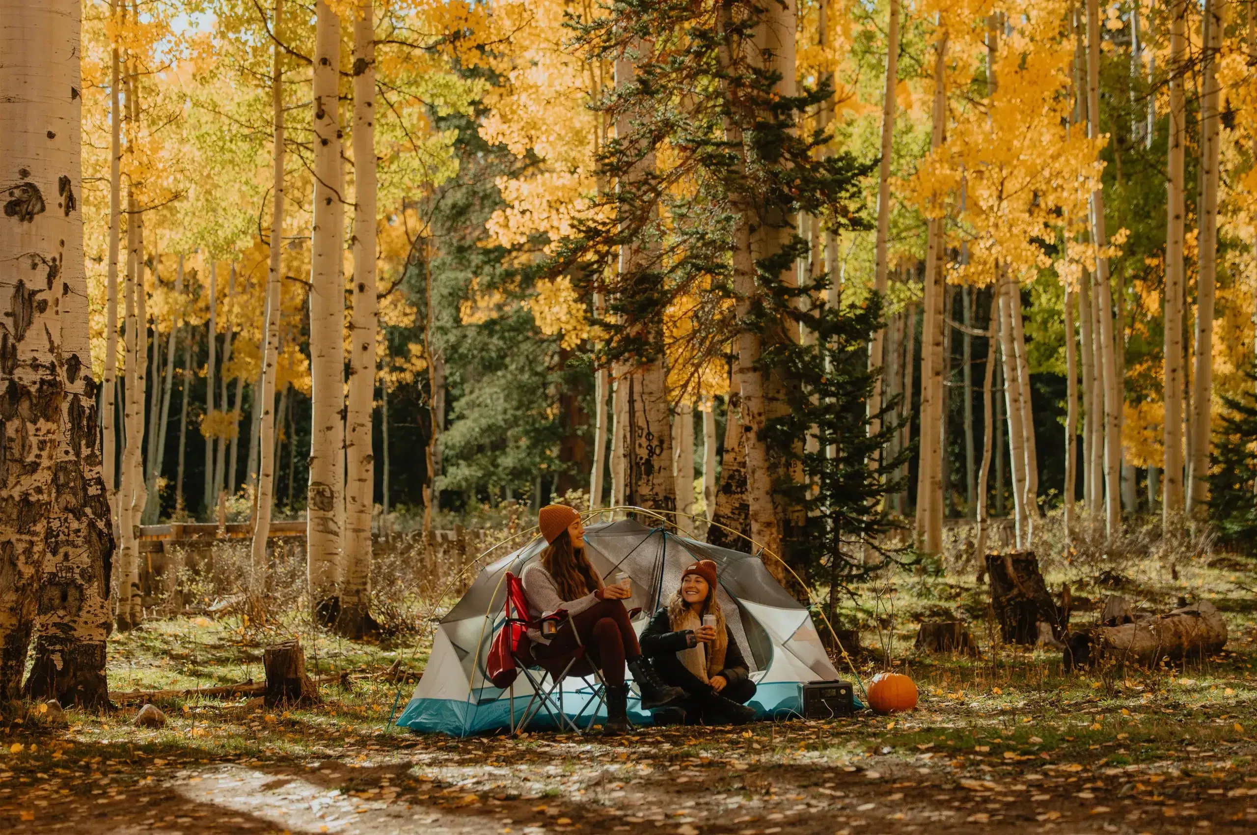 People charging their phones with bluetti power station while camping in the forest